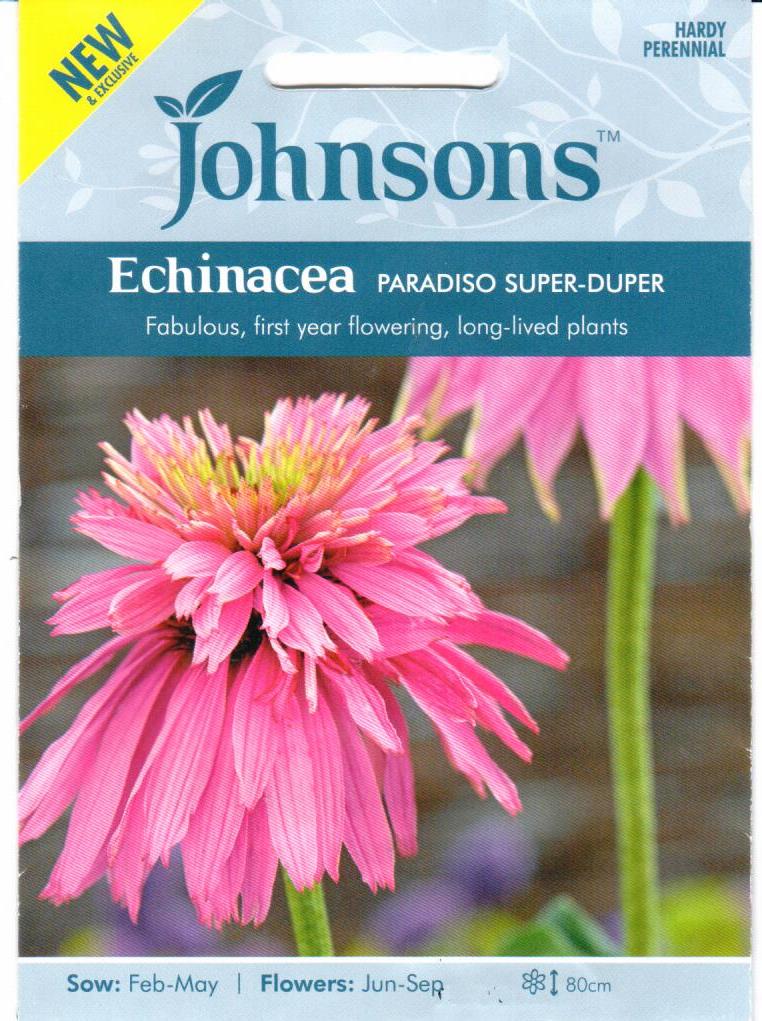 Ežiuolės Paradiso Super-Duper