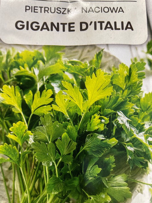 Sejamosios petražolės GIGANTE D’ITALIA, 2g