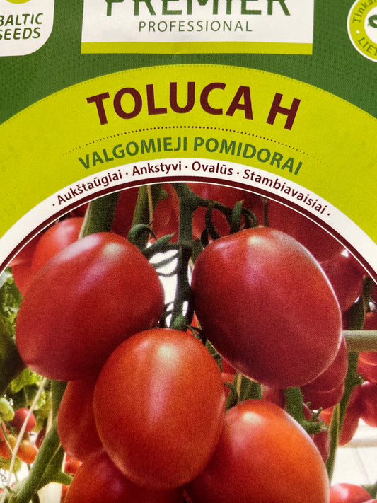 Valgomieji pomidorai TOLUCA, 8 s