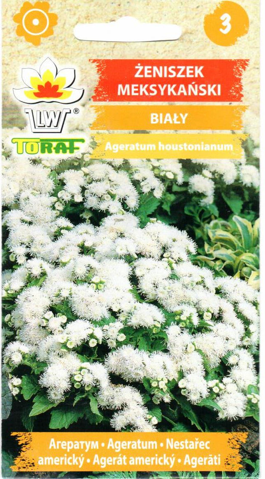 Meksikiniai žydrūnai (balti)