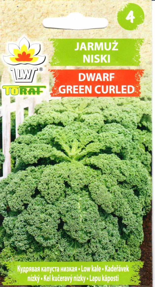 Garbanotieji (lapiniai) kopūstai Dwarf Green Curled