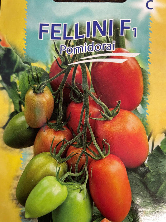 Valgomieji pomidorai FELLINI F1, 10 s