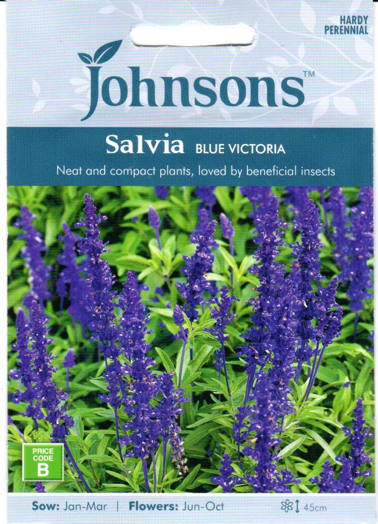 Miltuotieji šalavijai Blue Victoria