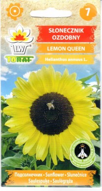 Tikrosios saulėgrąžos LEMON QUEEN, 2 g.