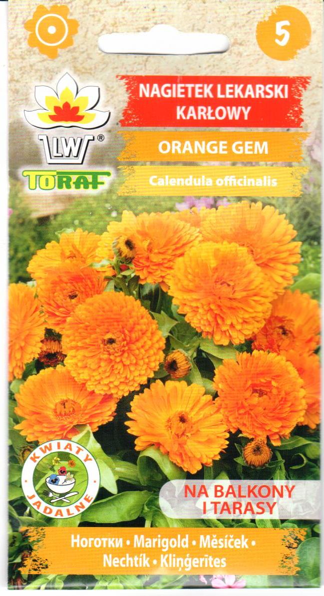 Vaistinės medetkos Orange Gem