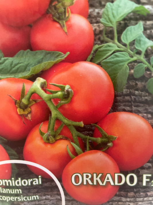 Valgomieji pomidorai ORKADO F1, 10s