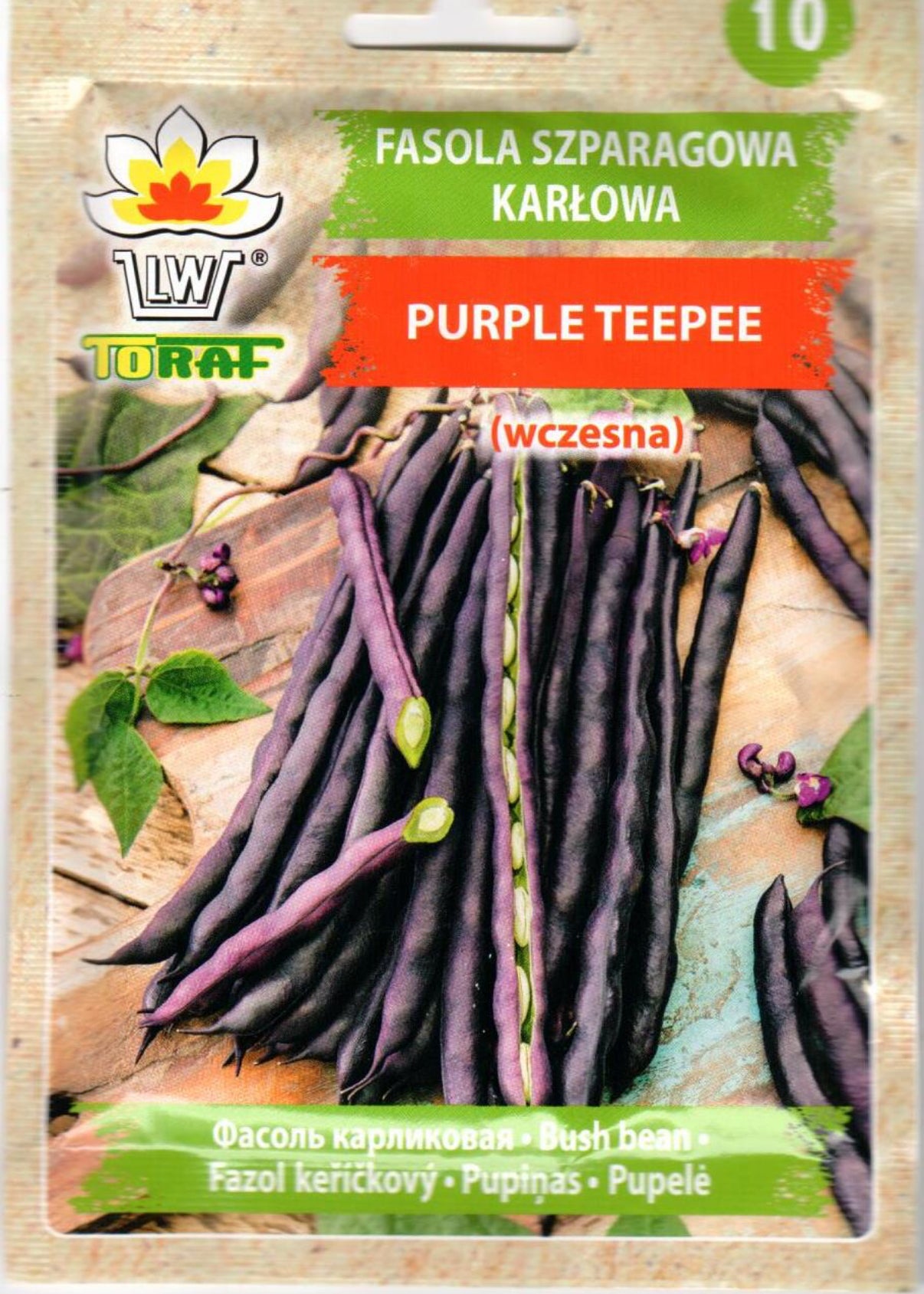 Žemaūgės daržinės pupelės Purple Teepee (šparaginės)