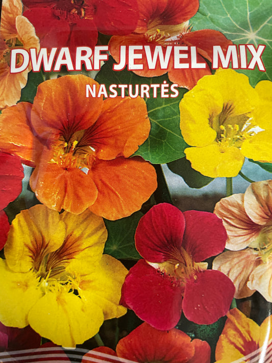 Nasturtės DWARF JEWEL MIX, 3 g