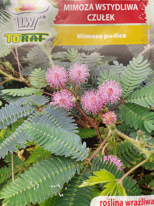 Jautriosios mimozos  0,2g