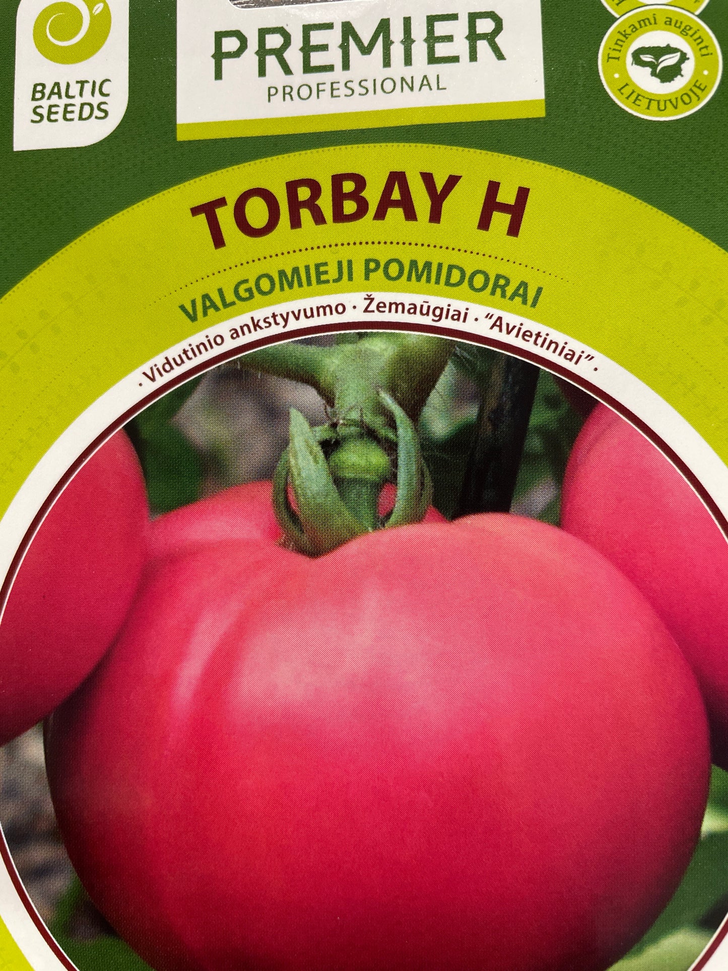 Valgomieji pomidorai TORBAY H, 15 s