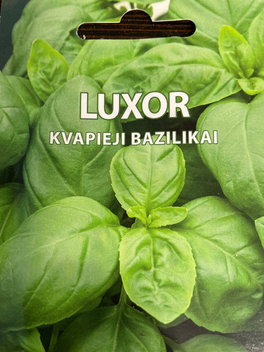 Kvapieji bazilikai LUXOR, 0,3 g