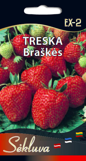 Braškės TRESKA 30s