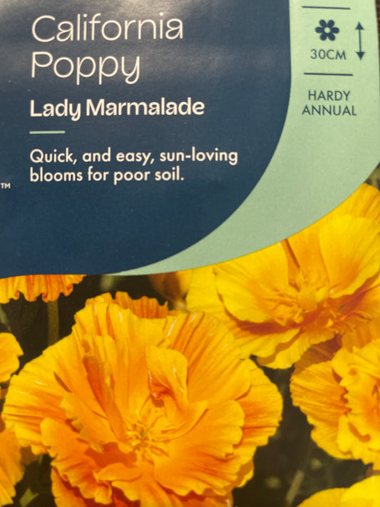 Geltonžiedes ešolcijos LADY MARMALADE, 300 s