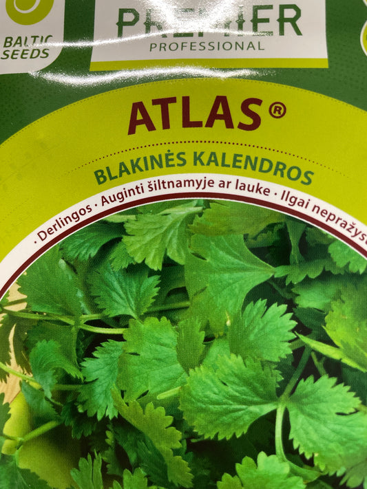 Blakinės kalendros ATLAS, 3 g