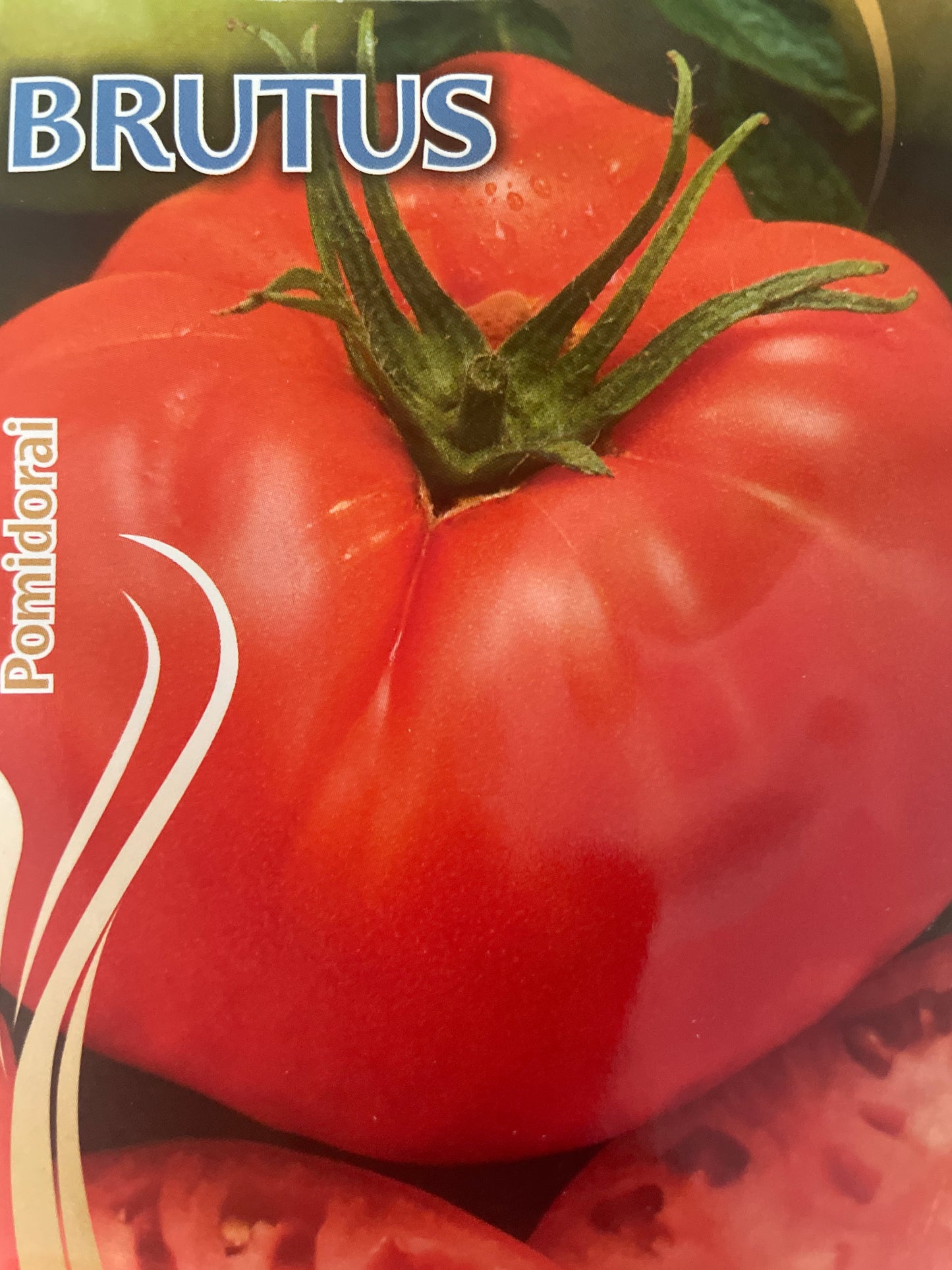 Valgomieji pomidorai BRUTUS, 0,1 g