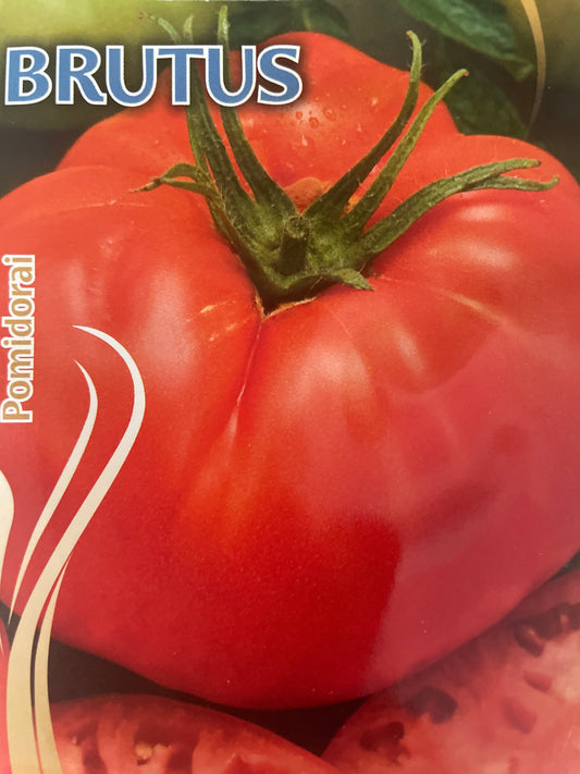 Valgomieji pomidorai BRUTUS, 0,1 g