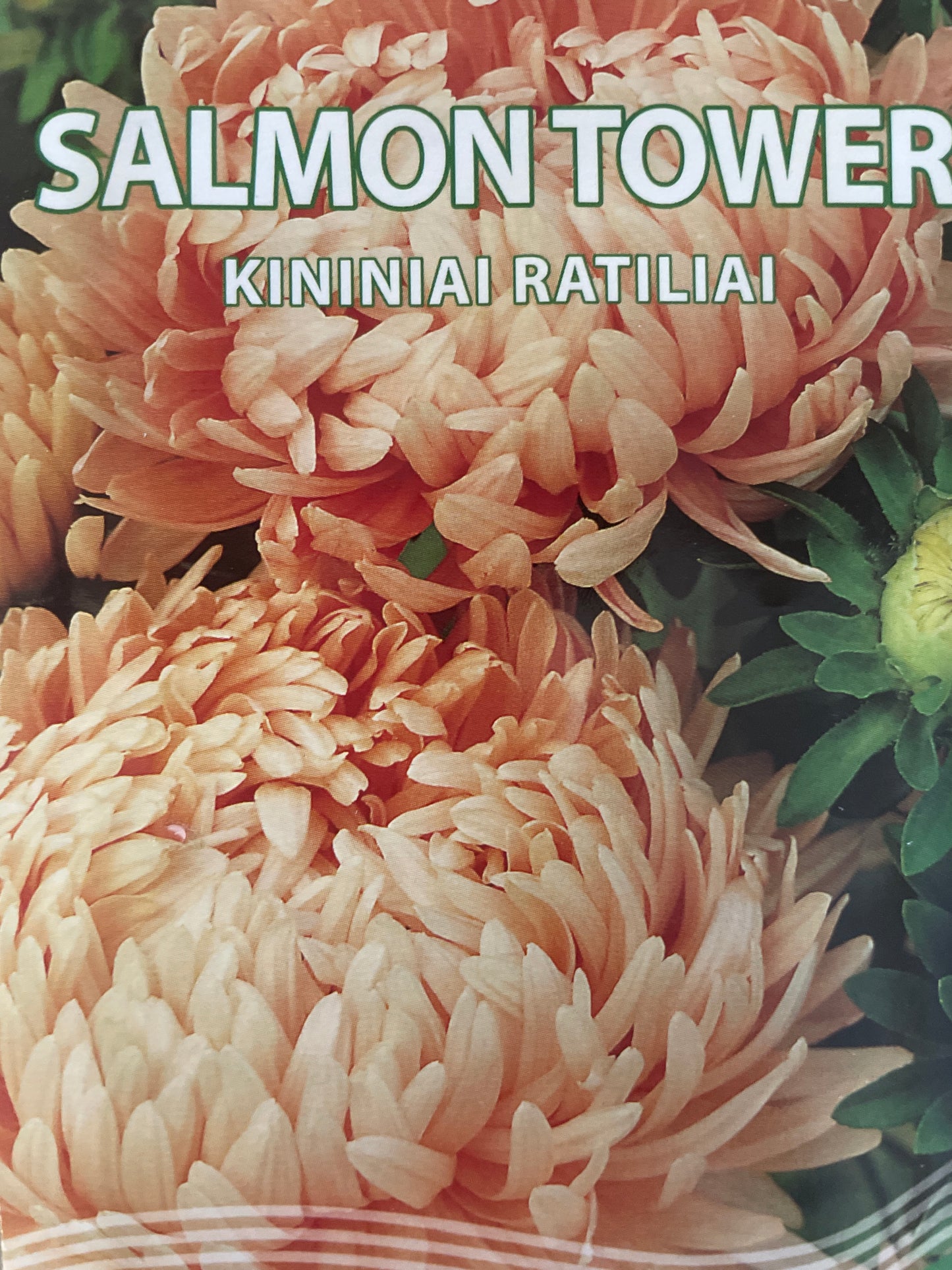 Kininiai ratiliai (astros) SALMON TOWER 0,5g