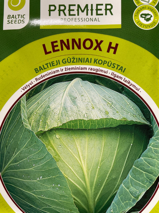 Baltieji gūžiniai kopūstai LENNOX H, 45 s