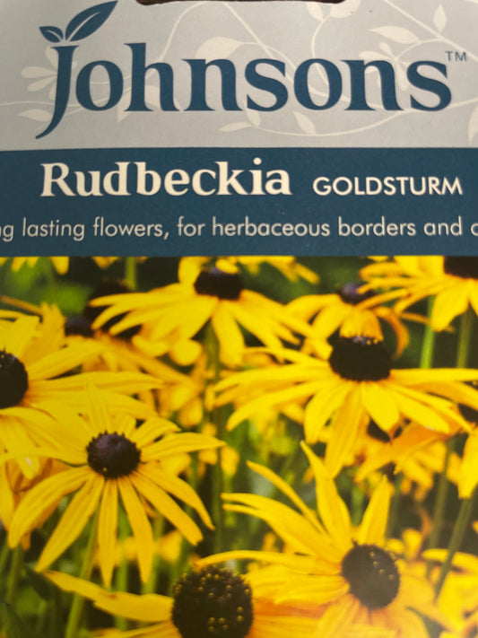Žėrinčiosios rudbekijos GOLDSTURM, 125 s