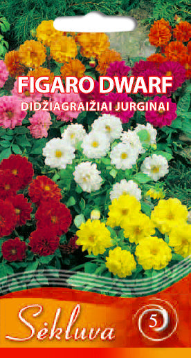 Didžiagraižiai jurginai FIGARO DWARF 0,5g