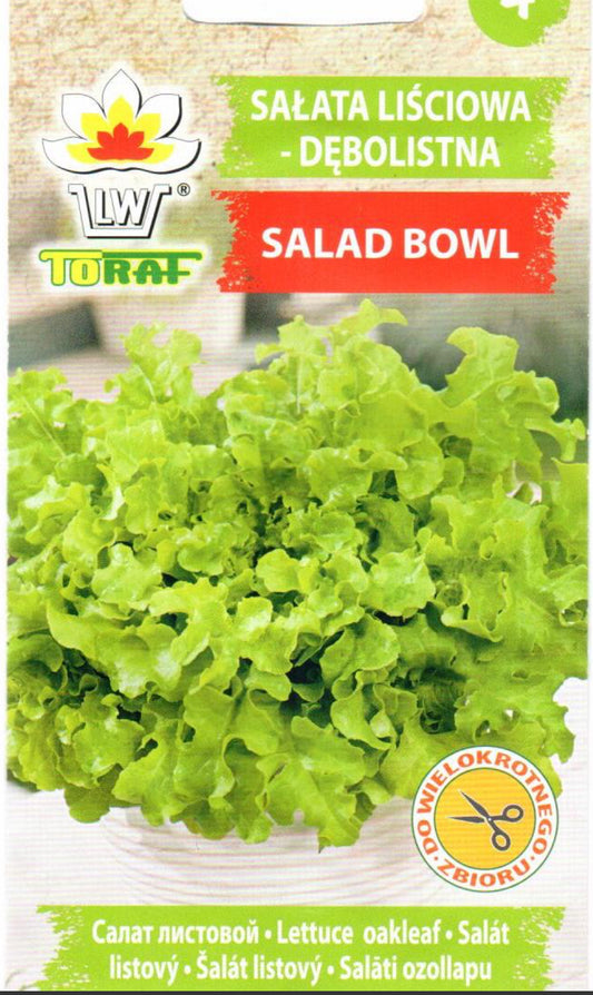 Sėjamosios salotos BOWL, 1g.