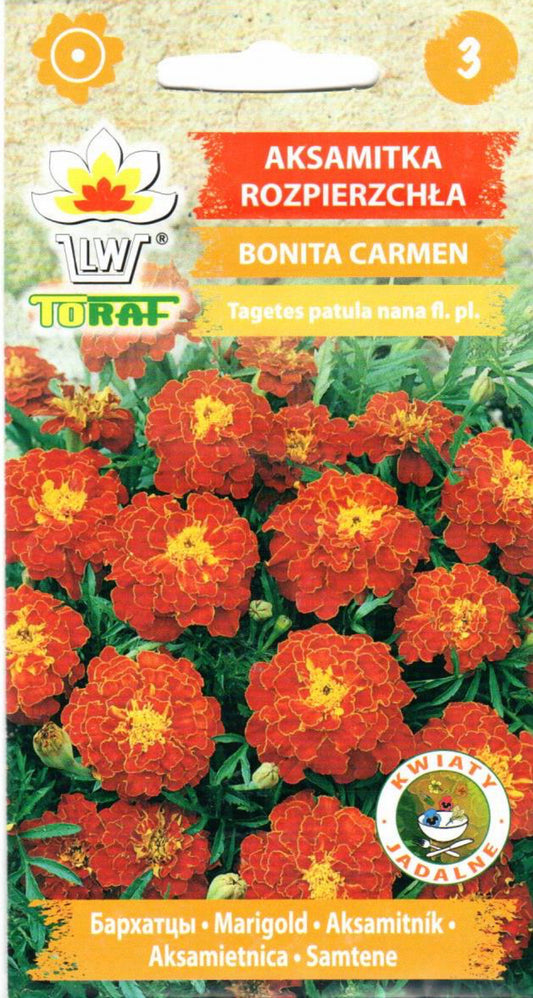 Gvazdikiniai serenčiai Bonita Carmen