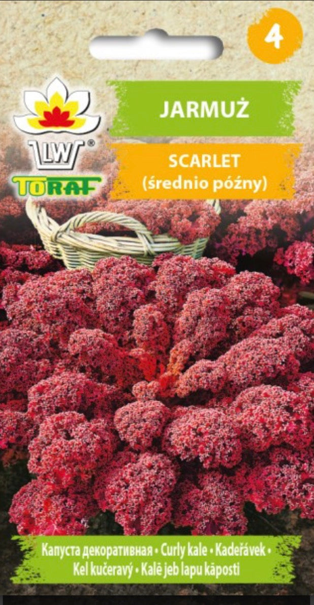 Garbanotieji kopūstai Scarlet