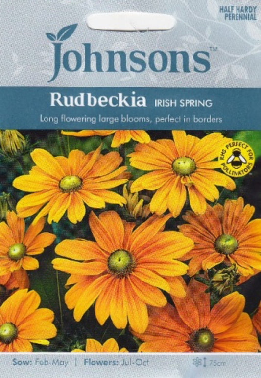 Plaukuotoji rudbekija IRISH SPRING