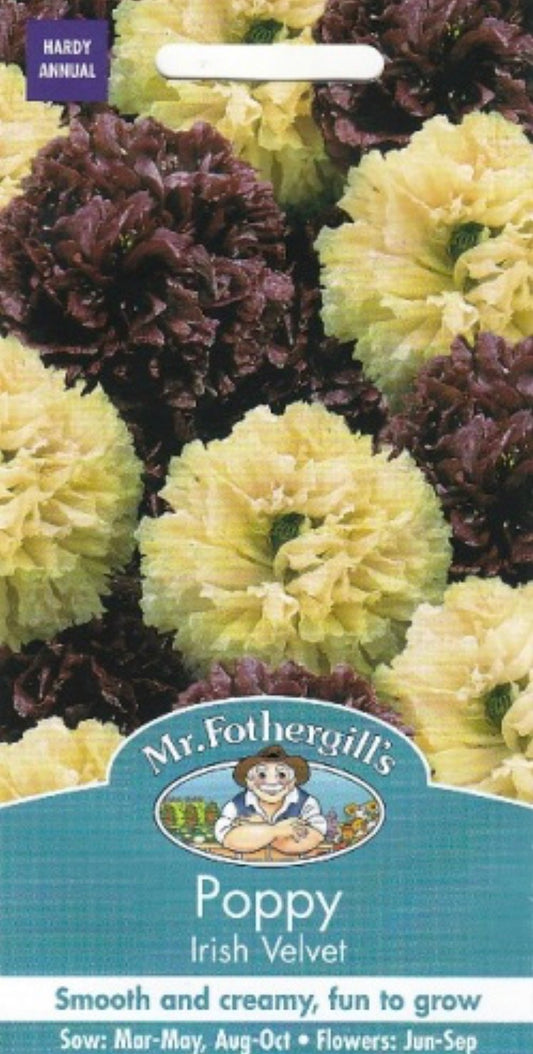 Aguonos dekoratyvinės Irish Velvet