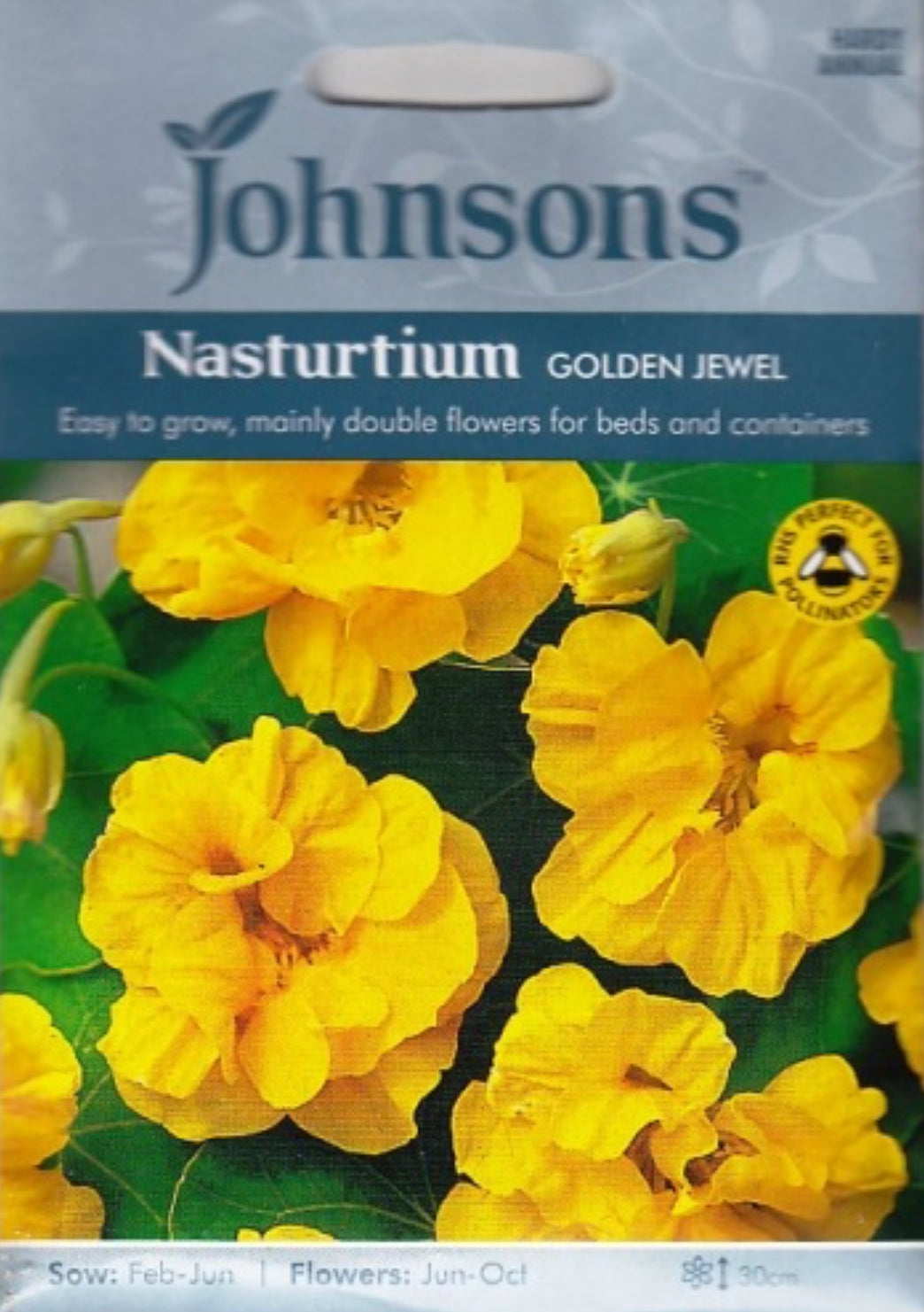 Didžiosios nasturtės Golden Jewel