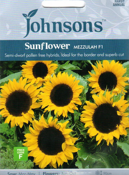 Tikrosios saulėgrąžos MEZZULAH F1