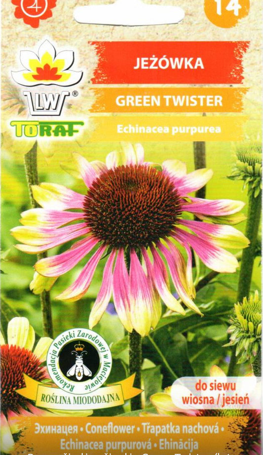 Rausvažiedės ežiuolės Green Twister