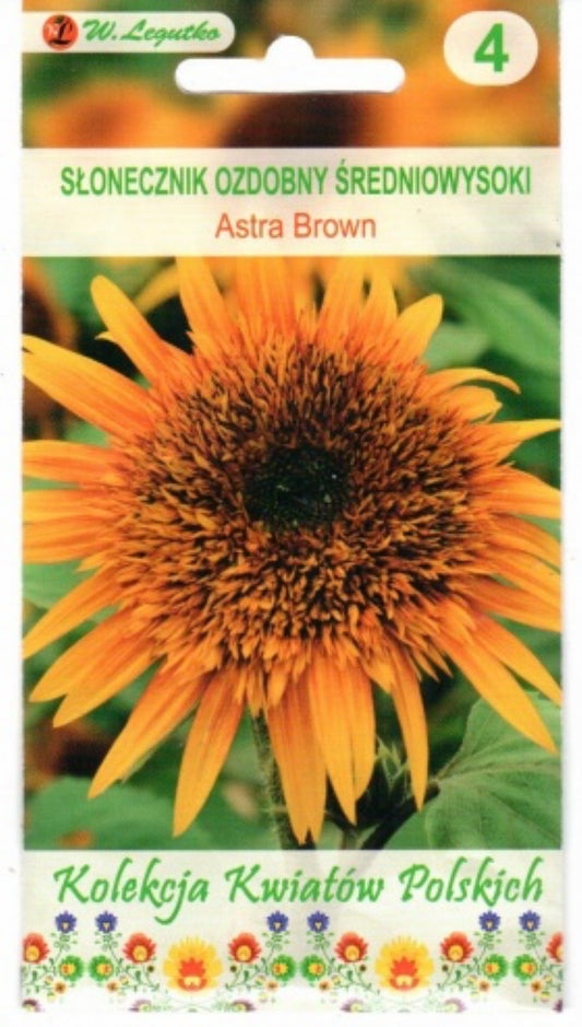 Tikrosios saulėgrąžos Astra Brown