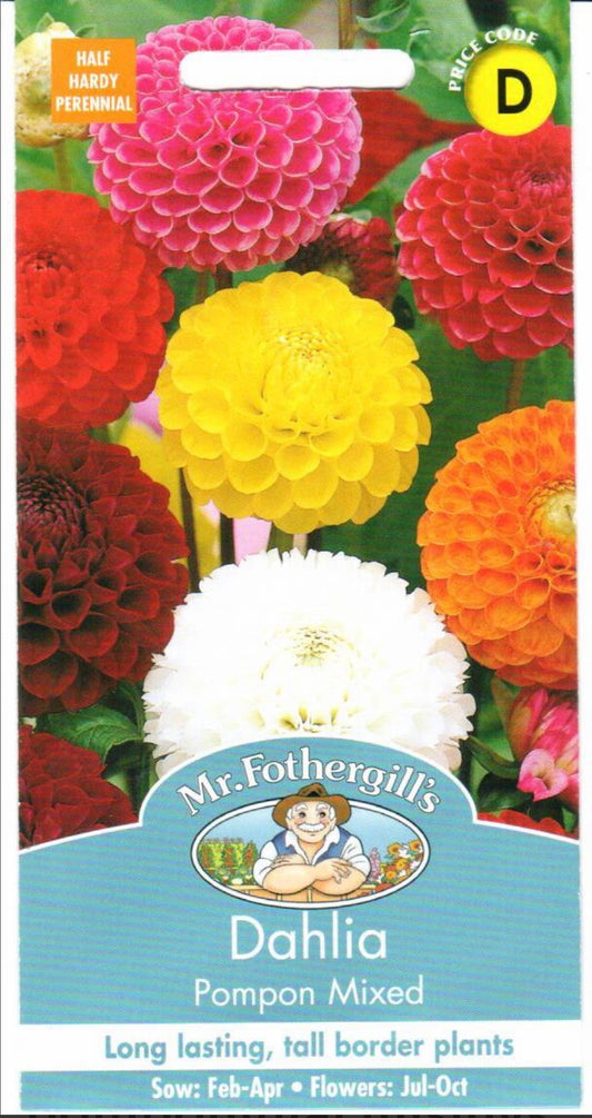 Darželiniai jurginai Pompon mišinys