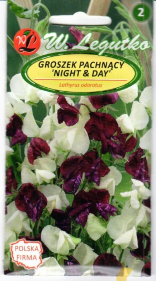 Kvapieji pelėžirniai Night & Day