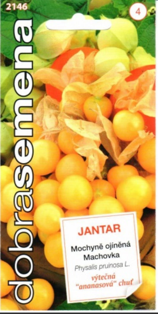 Dumplūnės Jantar