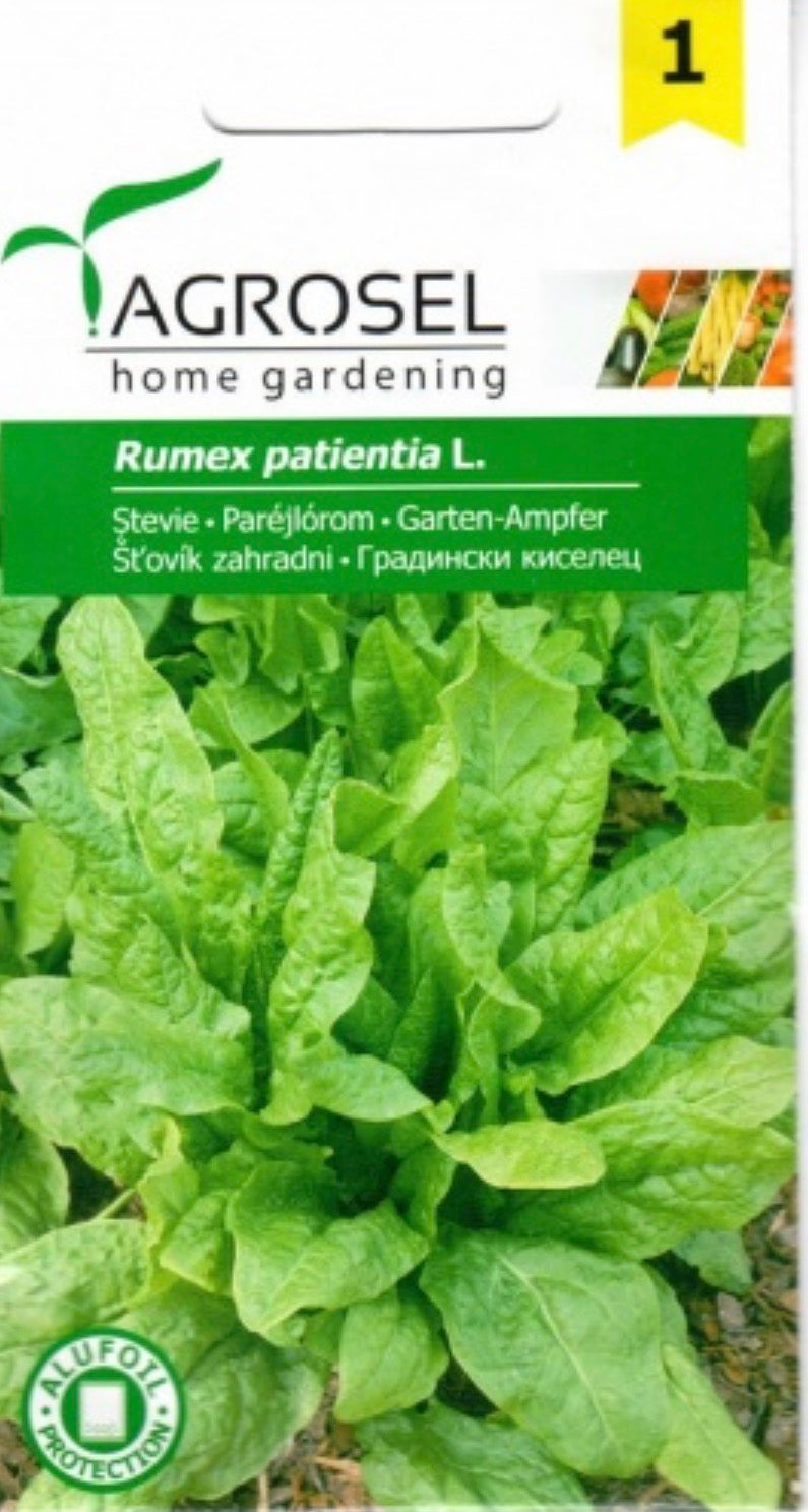 Špinatinės rūgštynės