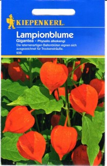 Paprastoji dumplūnė GIGANTEA 30s