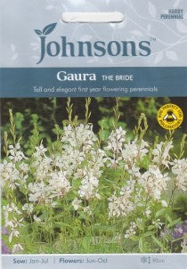 Gauros THE BRIDE 30s