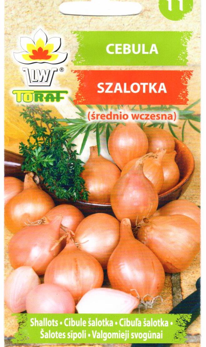Valgomieji svogūnai (Askaloniniai česnakai) Conservor