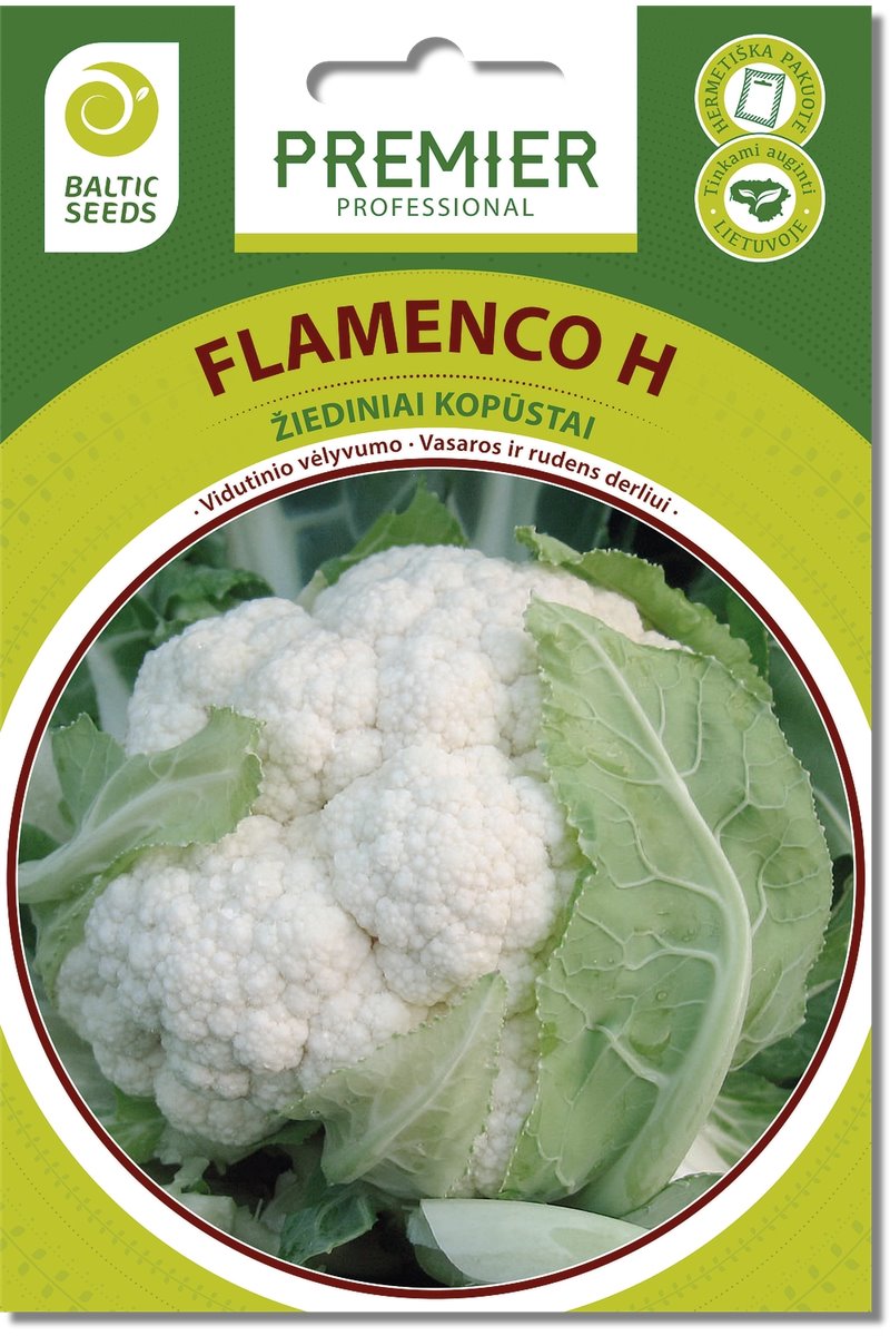 Žiediniai kopūstai FLAMENCO H (F1), 20 s.