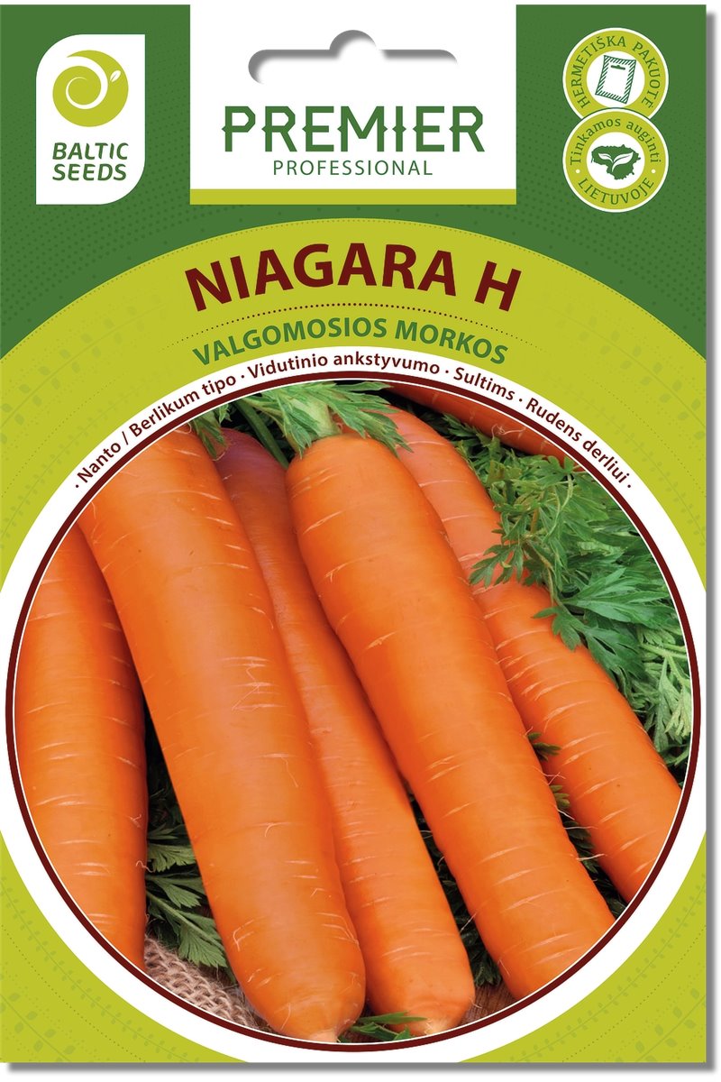 Morkos NIAGARA H