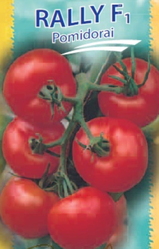 Valgomieji pomidorai RALLY F1, 8s