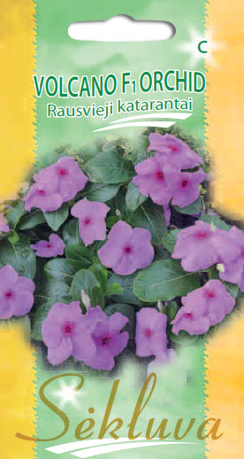 Rausvieji katarantai VOLCANO F1 ORCHID 15s