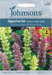 Pankolinės kinmėtės (anyžinis lofantas) 200s