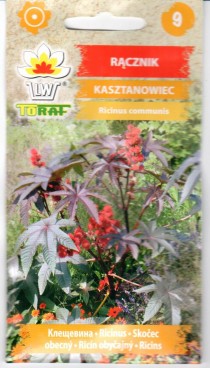 Paprastieji ricinmedžiai (raudonlapiai) 6s