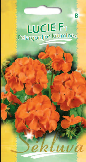 Pelargonijos krūminės LUCIE F1  5s