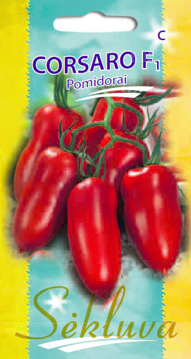 Valgomieji pomidorai CORSARO F1, 10 s.