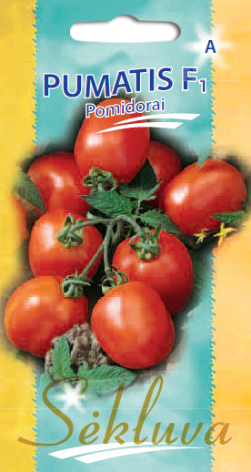 Valgomieji pomidorai PUMATIS F1, 15 s.