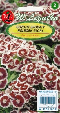 Šiurpiniai gvazdikai HOLBORN GLORY 0,5g